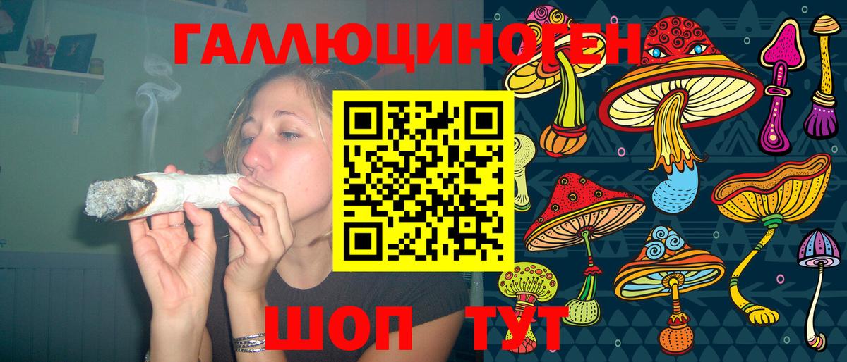 Гусев  Псилоцибиновые грибы мухоморы  Вход с VPN 